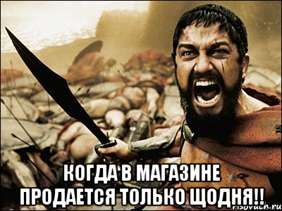  Когда в магазине продается только ЩОДНЯ!!, Мем Это Спарта