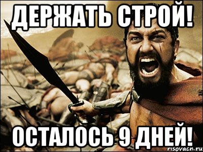 Держать строй! Осталось 9 дней!, Мем Это Спарта