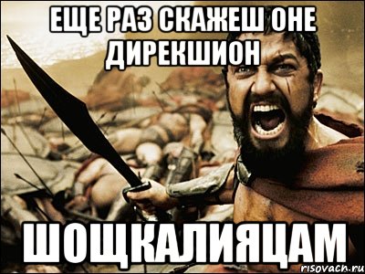 еще раз скажеш оне дирекшион шощкалияцам, Мем Это Спарта