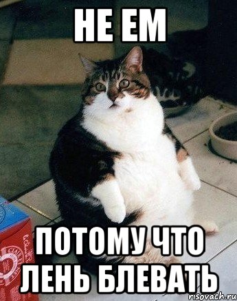 не ем потому что лень блевать