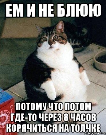 ем и не блюю потому что потом где-то через 8 часов корячиться на толчке