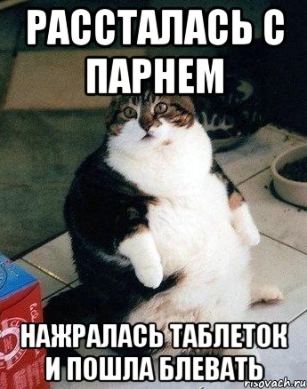 Рассталась с парнем Нажралась таблеток и пошла блевать