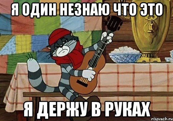 я один незнаю что это я держу в руках, Мем Грустный Матроскин с гитарой