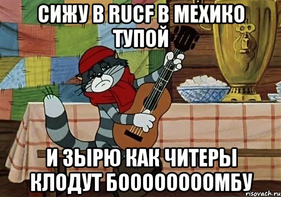 сижу в rucf в мехико тупой и зырю как читеры клодут боооооооомбу, Мем Грустный Матроскин с гитарой