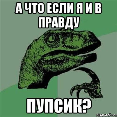 А что если я и в правду Пупсик?, Мем Филосораптор