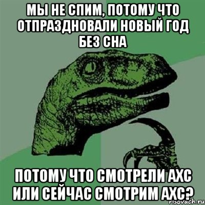 МЫ НЕ СПИМ, ПОТОМУ ЧТО ОТПРАЗДНОВАЛИ НОВЫЙ ГОД БЕЗ СНА ПОТОМУ ЧТО СМОТРЕЛИ АХС ИЛИ СЕЙЧАС СМОТРИМ АХС?, Мем Филосораптор