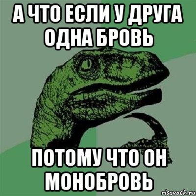 а что если у друга одна бровь потому что он монобровь, Мем Филосораптор