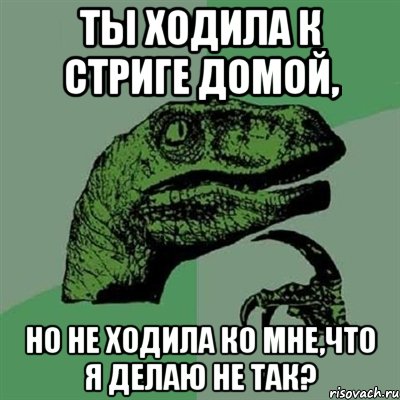 Ты ходила к стриге домой, но не ходила ко мне,что я делаю не так?, Мем Филосораптор