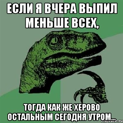 Если я вчера выпил меньше всех, тогда как же херово остальным сегодня утром..., Мем Филосораптор