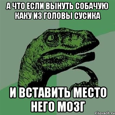 а что если вынуть собачую каку из головы сусика и вставить место него мозг, Мем Филосораптор