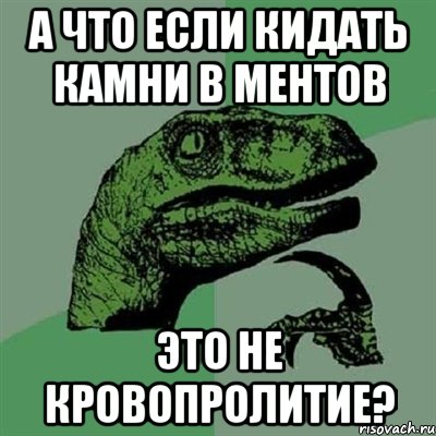 А что если кидать камни в ментов Это не кровопролитие?, Мем Филосораптор