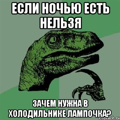 если ночью есть нельзя зачем нужна в холодильнике лампочка?, Мем Филосораптор