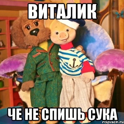 Виталик Че не спишь сука