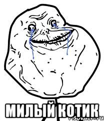  милый котик