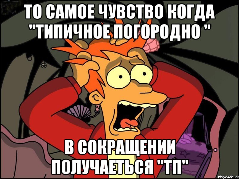 то самое чувство когда "ТИПИЧНОЕ ПОГОРОДНО " в сокращении получаеться "ТП", Мем Фрай в панике