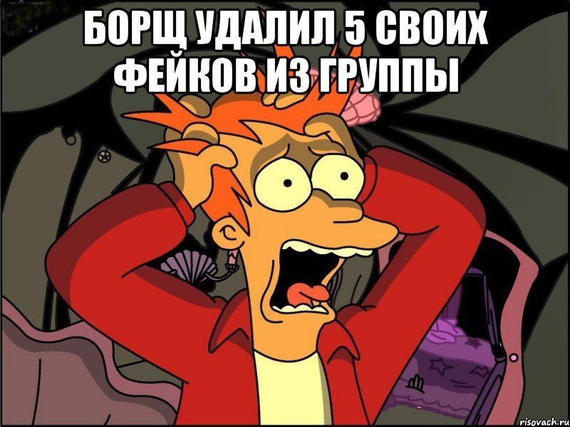 борщ удалил 5 своих фейков из группы , Мем Фрай в панике