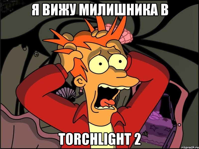 Я вижу милишника в Torchlight 2, Мем Фрай в панике