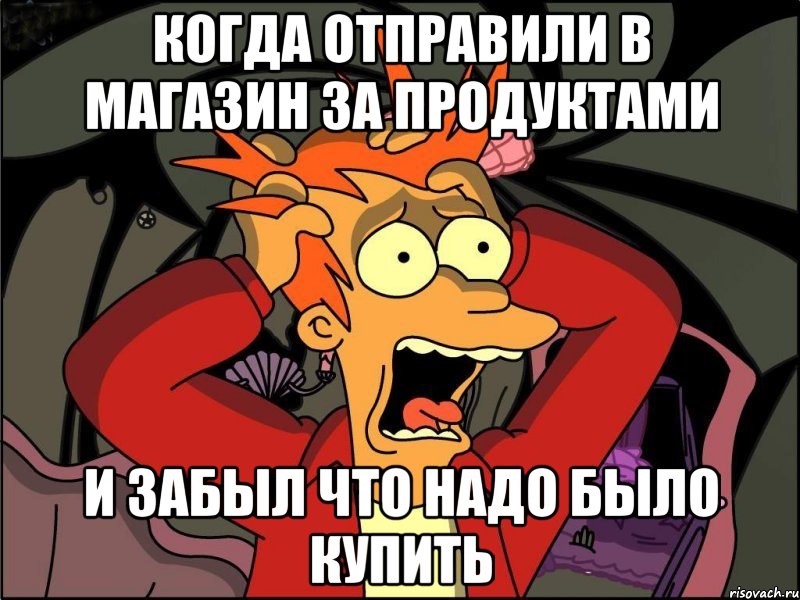 Когда отправили в магазин за продуктами И забыл что надо было купить, Мем Фрай в панике