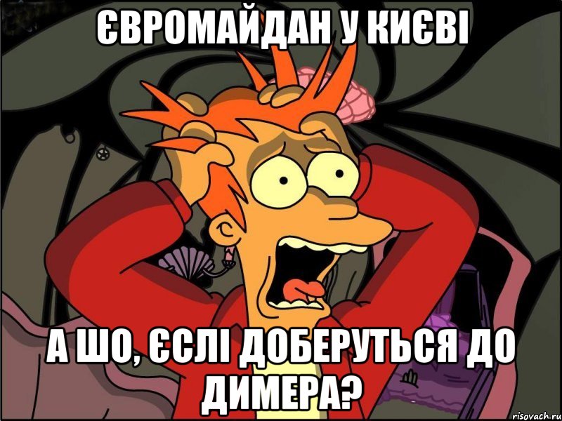 Євромайдан у Києві а шо, єслі доберуться до Димера?, Мем Фрай в панике