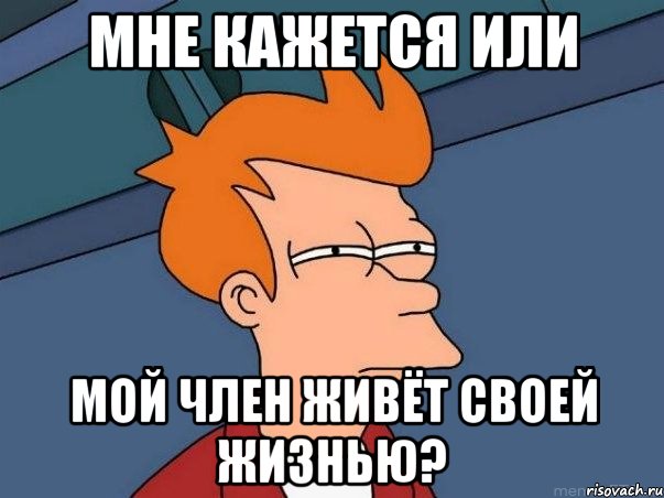 МНЕ КАЖЕТСЯ ИЛИ МОЙ ЧЛЕН ЖИВЁТ СВОЕЙ ЖИЗНЬЮ?, Мем  Фрай (мне кажется или)