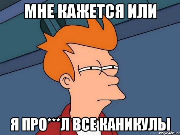 Мне кажется или я про***Л все каникулы, Мем  Фрай (мне кажется или)