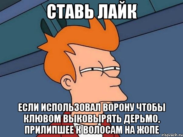 Ставь лайк Если использовал ворону чтобы клювом выковырять дерьмо, прилипшее к волосам на жопе, Мем  Фрай (мне кажется или)