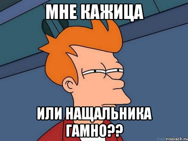 мне кажица или нащальника гамно??, Мем  Фрай (мне кажется или)