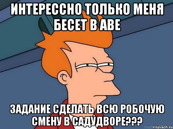 ИНТЕРЕССНО ТОЛЬКО МЕНЯ БЕСЕТ В АВЕ ЗАДАНИЕ СДЕЛАТЬ ВСЮ РОБОЧУЮ СМЕНУ В САДУДВОРЕ???, Мем  Фрай (мне кажется или)
