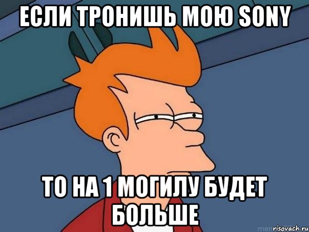 Если тронишь мою Sony То на 1 могилу будет больше, Мем  Фрай (мне кажется или)