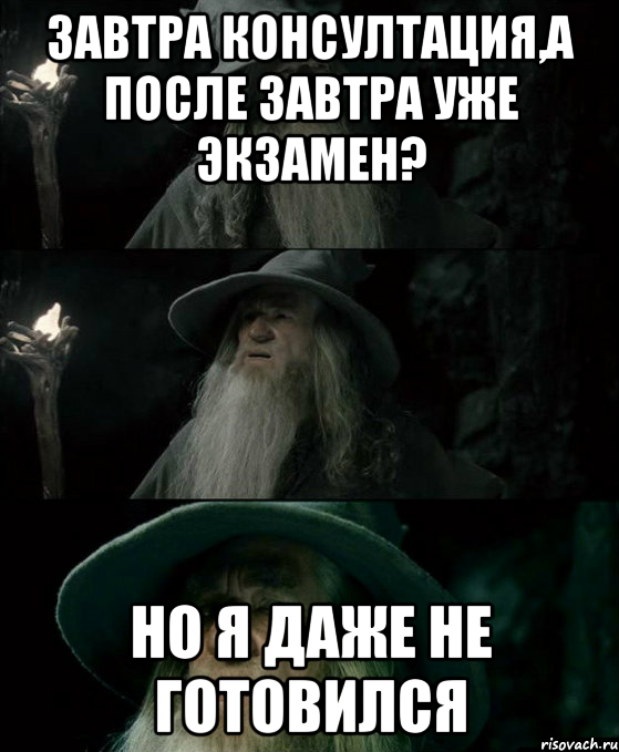 Завтра консултация,а после завтра уже экзамен? Но я даже не готовился