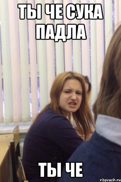 Ты че сука падла Ты че