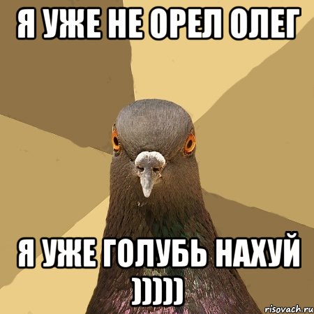 Я уже не Орел Олег я уже голубь нахуй ))))), Мем голубь