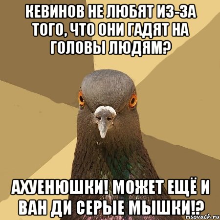 Кевинов не любят из-за того, что они гадят на головы людям? Ахуенюшки! Может ещё и ван ди серые мышки!?, Мем голубь