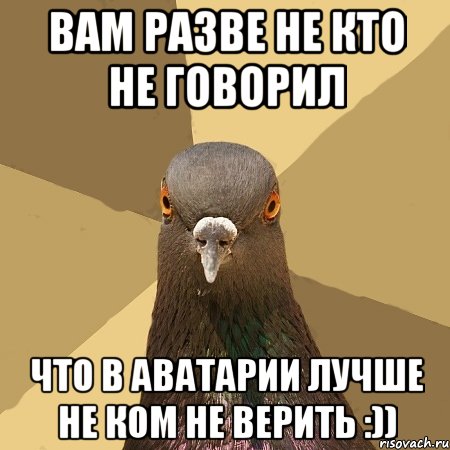 ВАМ РАЗВЕ НЕ КТО НЕ ГОВОРИЛ что в аватарии лучше не ком не верить :)), Мем голубь