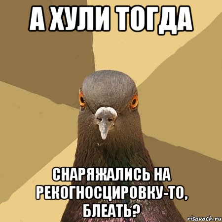 а хули тогда снаряжались на рекогносцировку-то, блеать?, Мем голубь