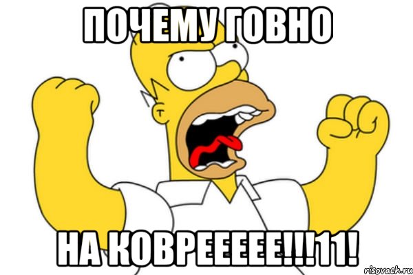 почему говно НА КОВРЕЕЕЕЕ!!!11!