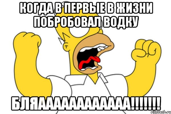 когда в первые в жизни побробовал водку БЛЯАААААААААААА!!!!!!!, Мем Разъяренный Гомер