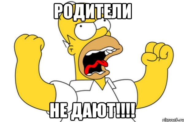 Родители Не ДАЮТ!!!!, Мем Разъяренный Гомер