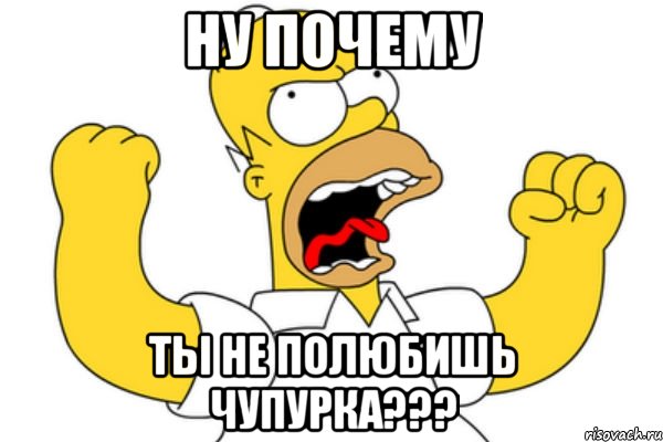 ну почему ты не полюбишь Чупурка???, Мем Разъяренный Гомер