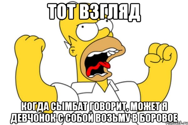 Тот взгляд Когда Сымбат говорит, может я девчонок с собой возьму в Боровое, Мем Разъяренный Гомер