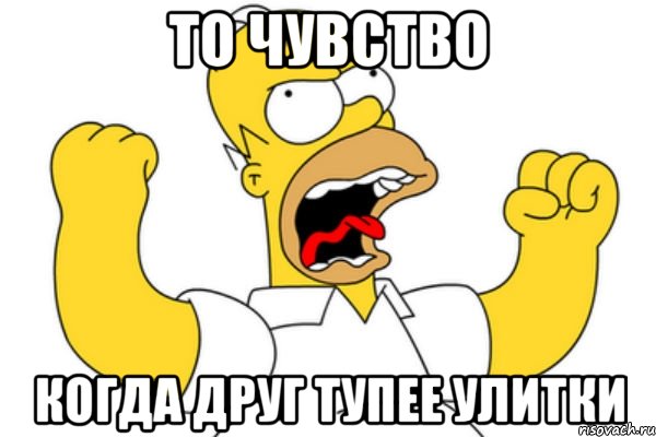 То чувство Когда друг тупее улитки, Мем Разъяренный Гомер