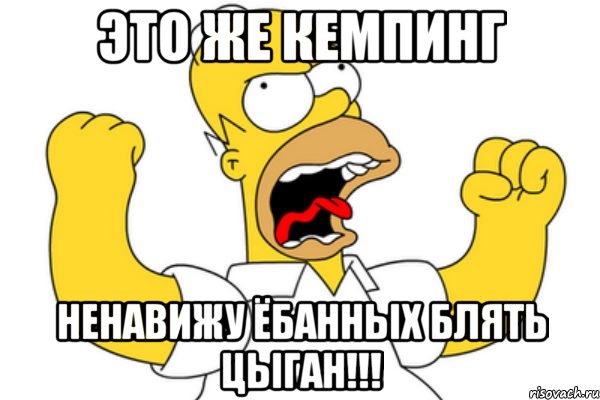 Это же кемпинг ненавижу ёбанных блять цыган!!!, Мем Разъяренный Гомер