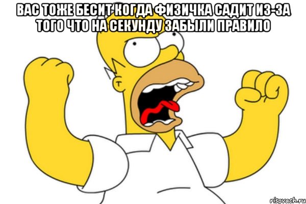 вас тоже бесит когда физичка садит из-за того что на секунду забыли правило , Мем Разъяренный Гомер