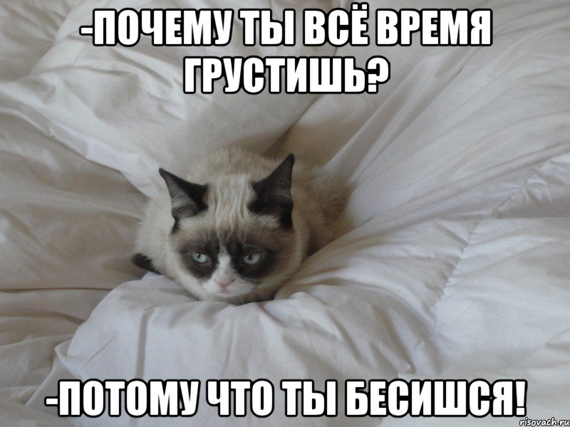 -Почему ты всё время грустишь? -Потому что ты бесишся!, Мем  грампи кэт