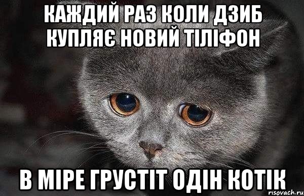 Каждий раз коли Дзиб купляє новий тіліфон В Міре грустіт одін котік, Мем  Грустный кот