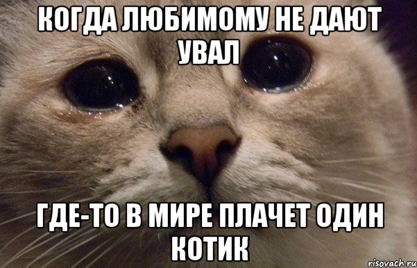 когда любимому не дают увал где-то в мире плачет один котик, Мем   В мире грустит один котик