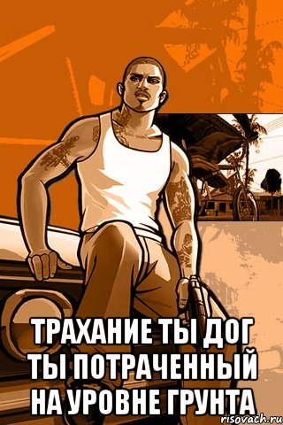  Трахание ты дог Ты потраченный на уровне грунта, Мем GTA