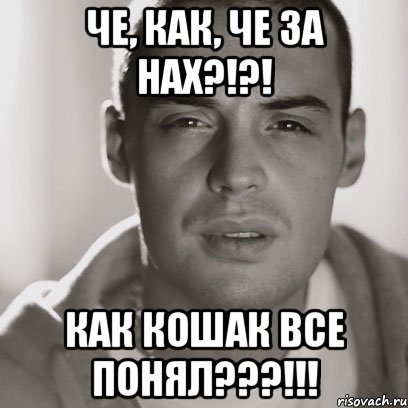 че, как, че за нах?!?! как кошак все понял???!!!, Мем Гуф