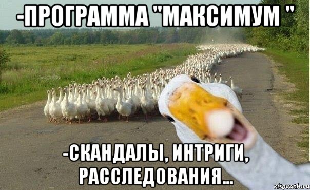 http://risovach.ru/upload/2014/01/mem/gusi_39506435_orig_.jpg
