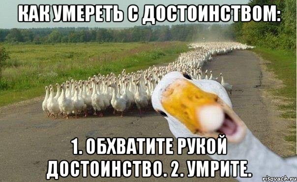 Как умереть с достоинством: 1. Обхватите рукой достоинство. 2. Умрите., Мем гуси